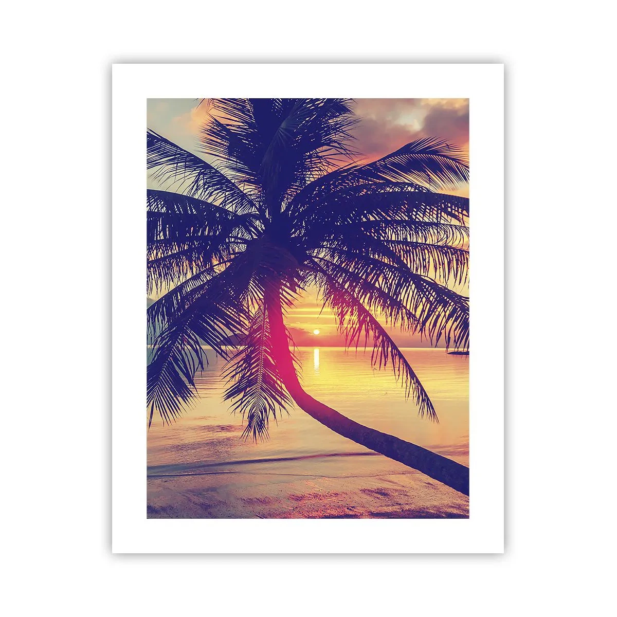 Poster - Evening under the Palm Trees - 40x50 cm