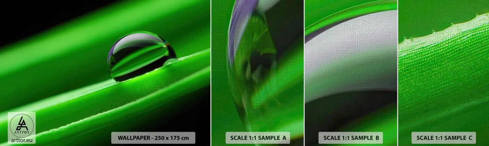 Photo Wallpaper Sample Premium Canvas - Life from a Close-Up - Abstraction, Graphics, A drop of water - 100x30 cm