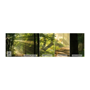 Photo Wallpaper Sample Standard Eco - Forest Moment - Landscape, Forest, Nature - 100x30 cm