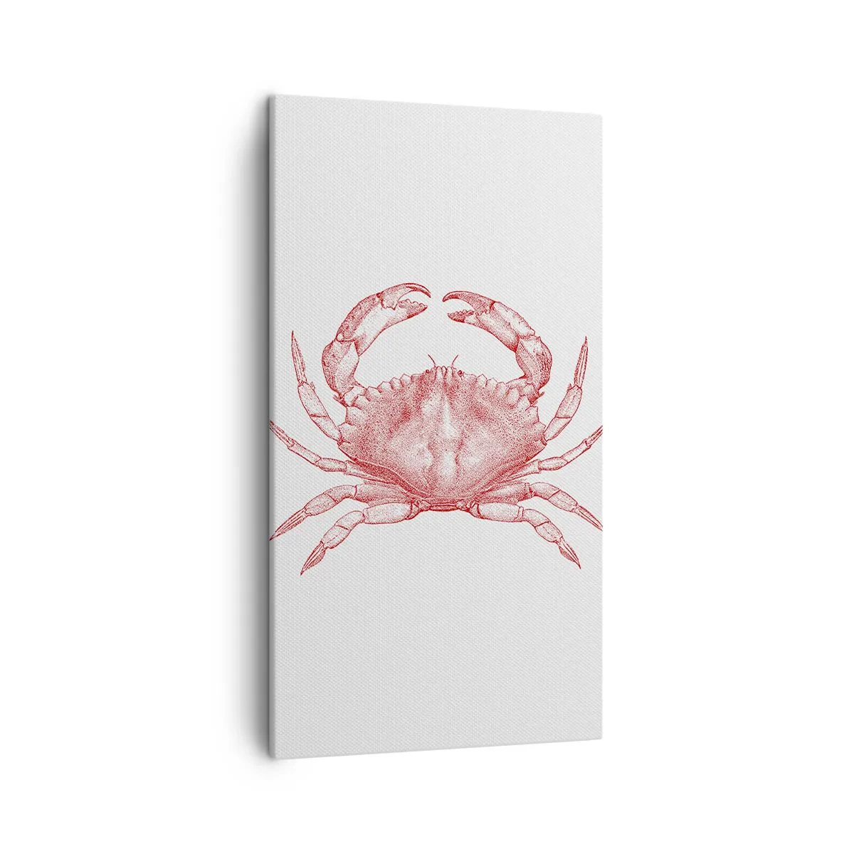 Canvas picture - Crab Like No Other - 45x80 cm