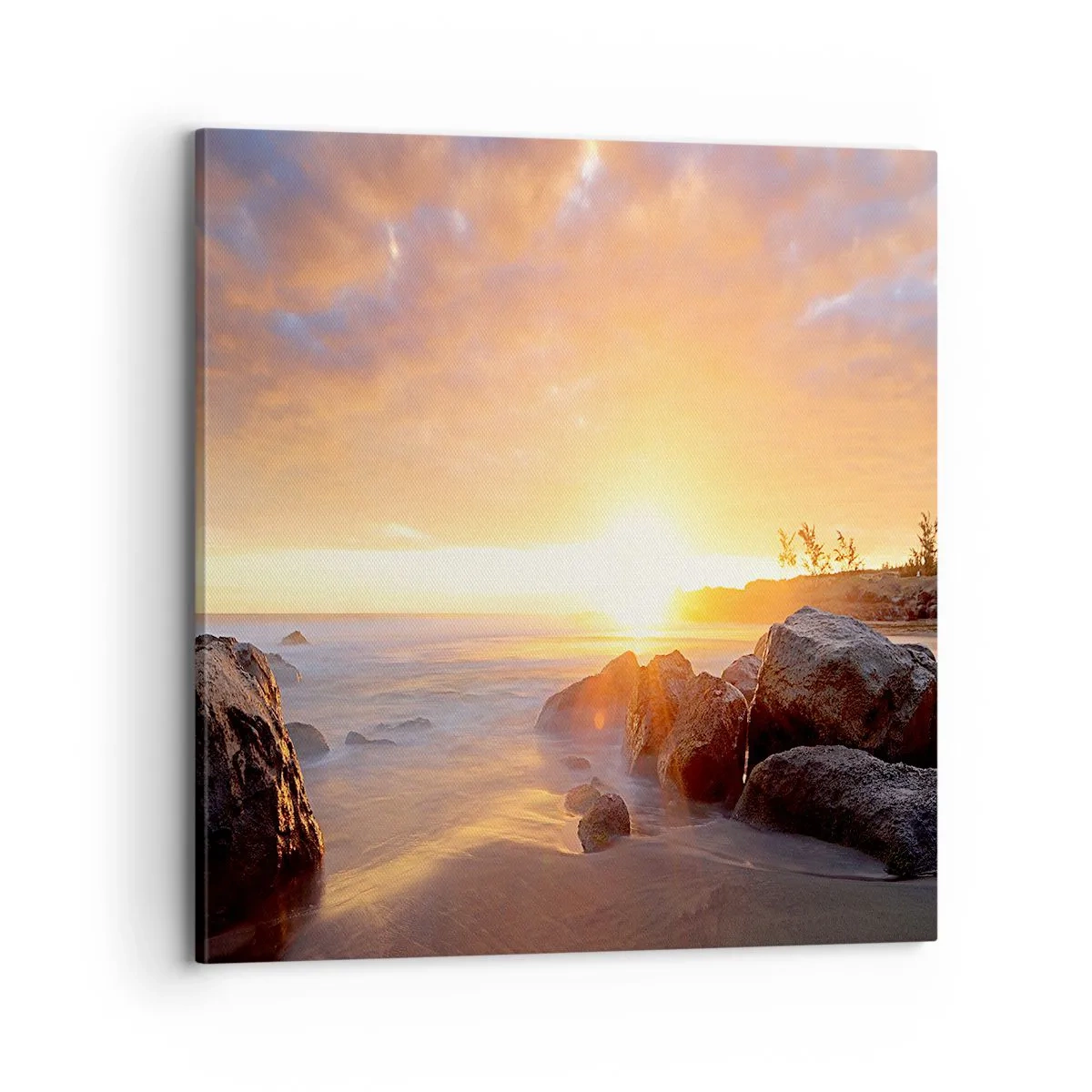 Canvas picture - Shiny Breeze of the Evening - 70x70 cm