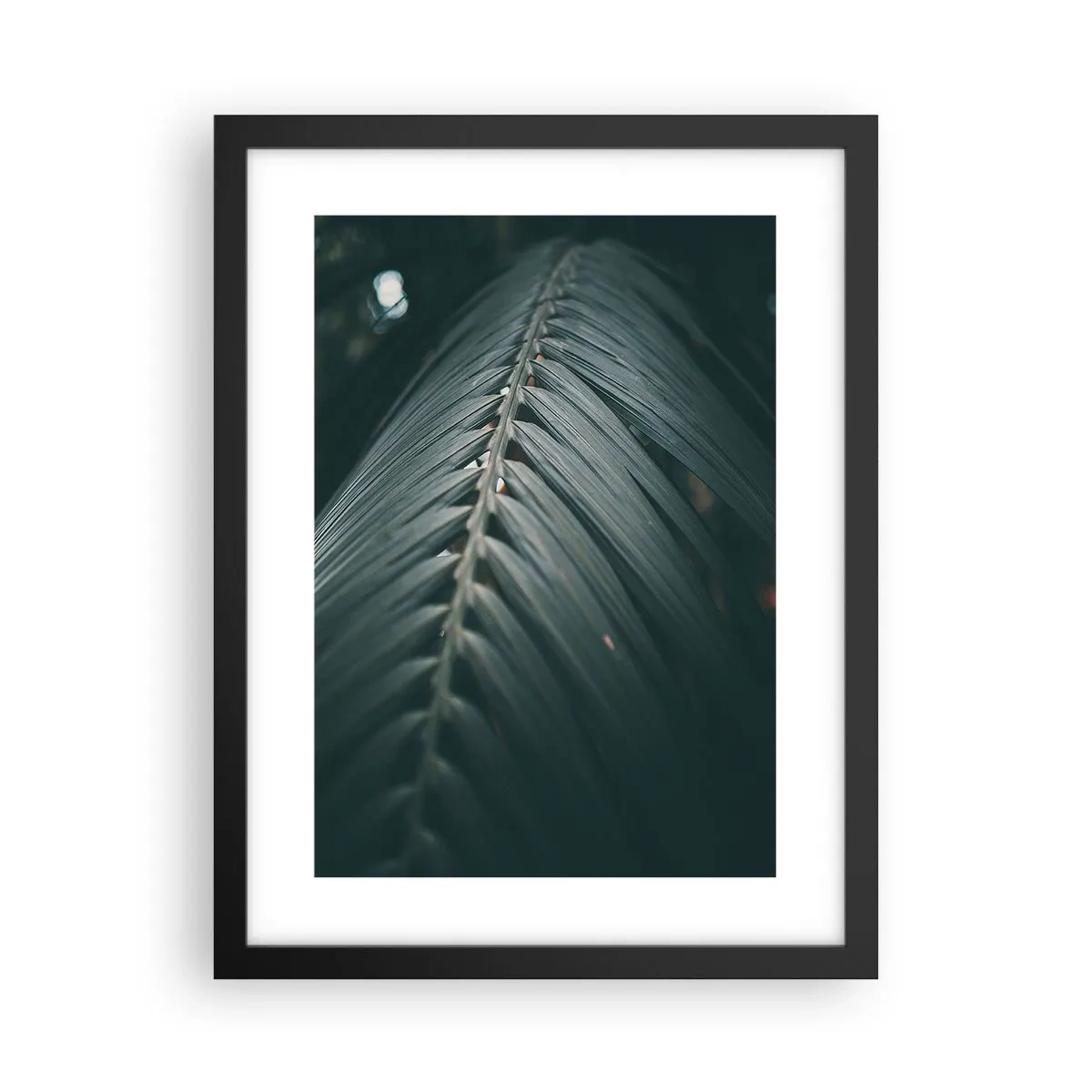 Poster in black frame - Precision of Nature - 30x40 cm