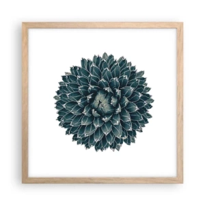 Poster in light oak frame - Star of the Desert - 40x40 cm