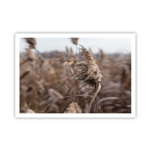 Poster - Time to Fly with the Wind - 100x70 cm