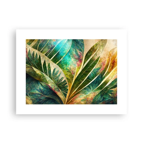 Poster - Colours of the Tropics - 40x30 cm