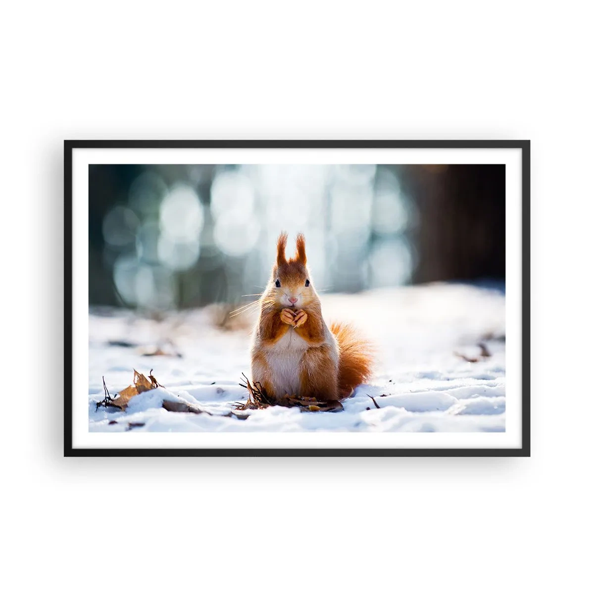 Poster in black frame - What Are You Looking at? - 91x61 cm