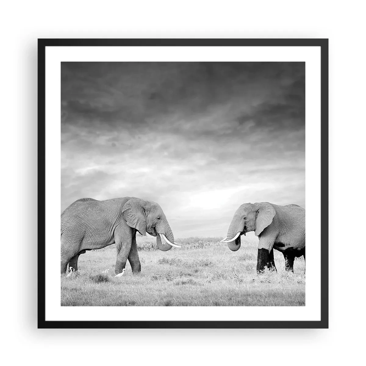 Poster in black frame - Grey Is Beautiful - 60x60 cm