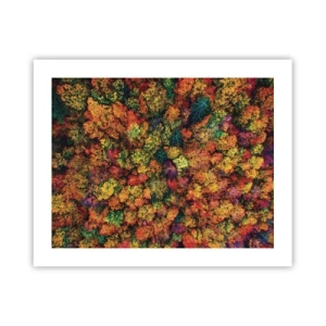Poster - Bouquet of Autumn Flowers - 50x40 cm