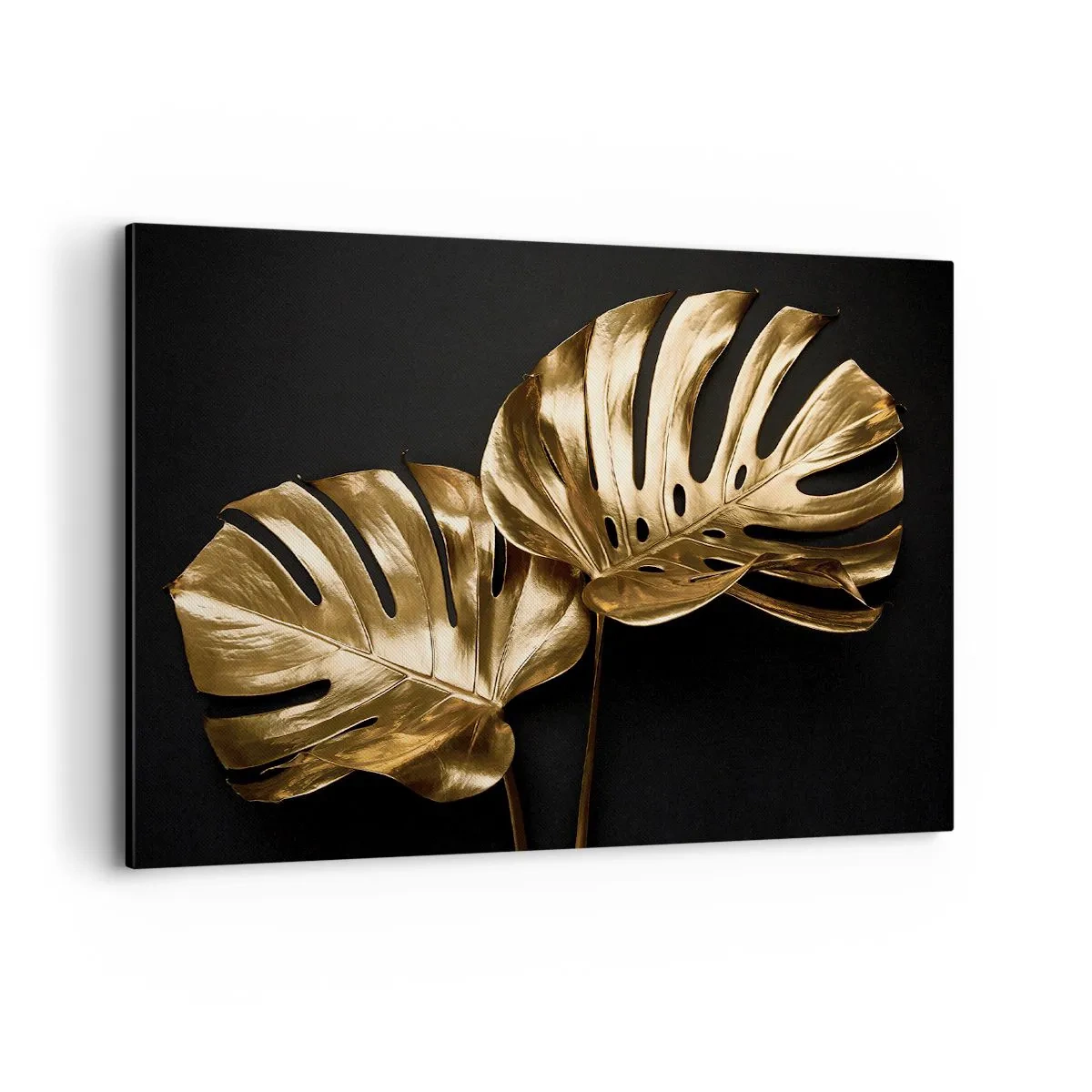Canvas picture - Tresaures of Nature - 100x70 cm