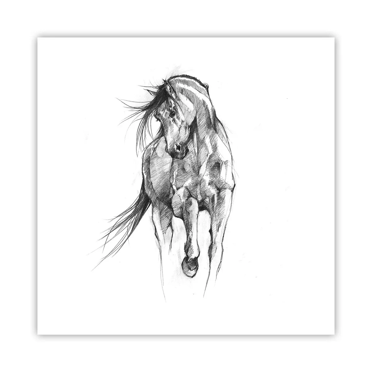 Poster - In a Graceful Trot - 60x60 cm