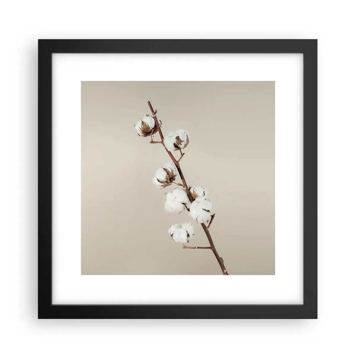 Poster in black frame - At the Heart of Softness - 30x30 cm