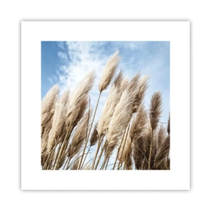 Poster - Caress of Sun and Wind - 30x30 cm
