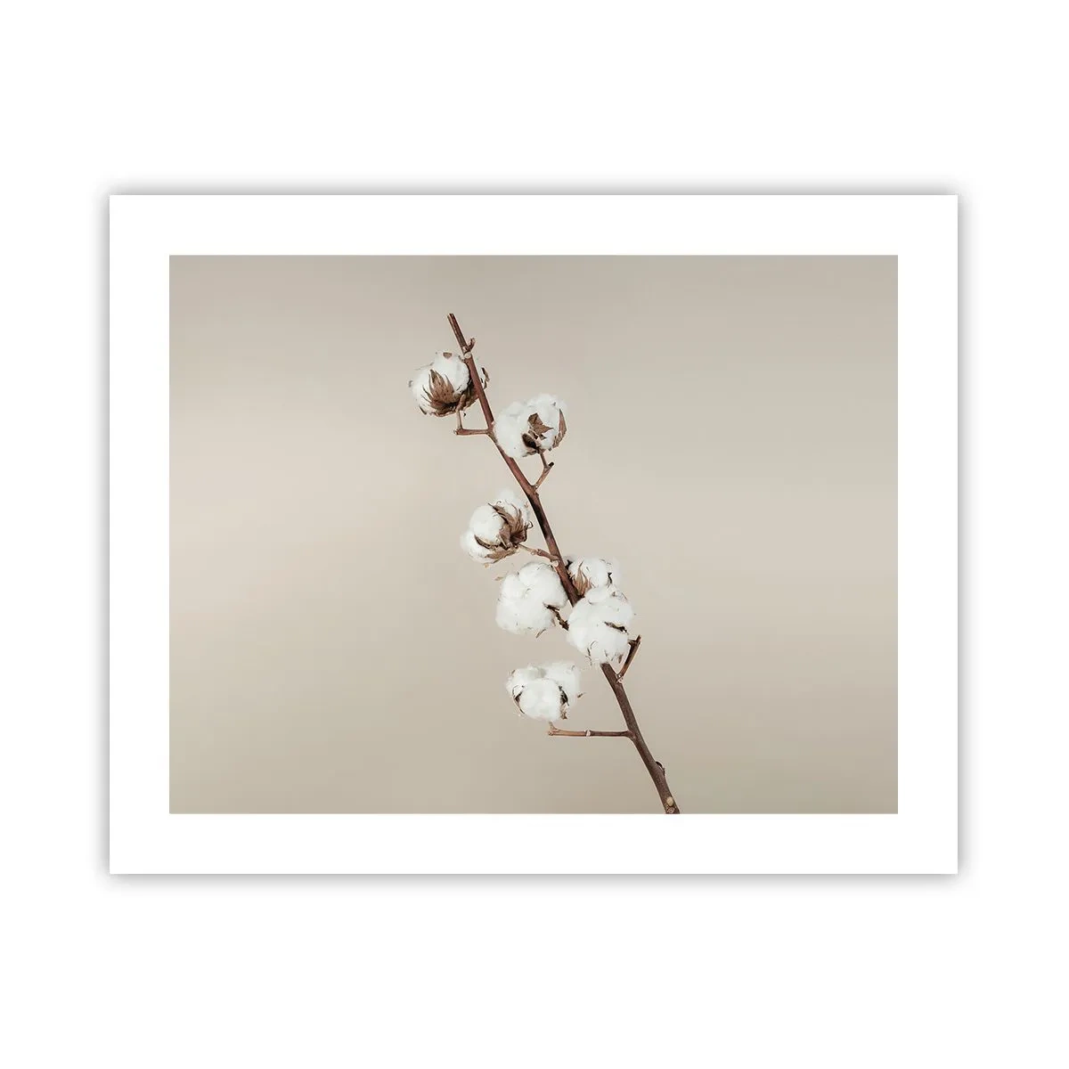 Poster - At the Heart of Softness - 50x40 cm