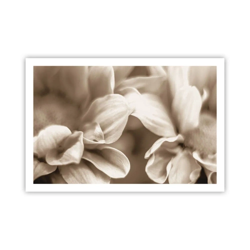 Poster - Soft as a Smile - 91x61 cm