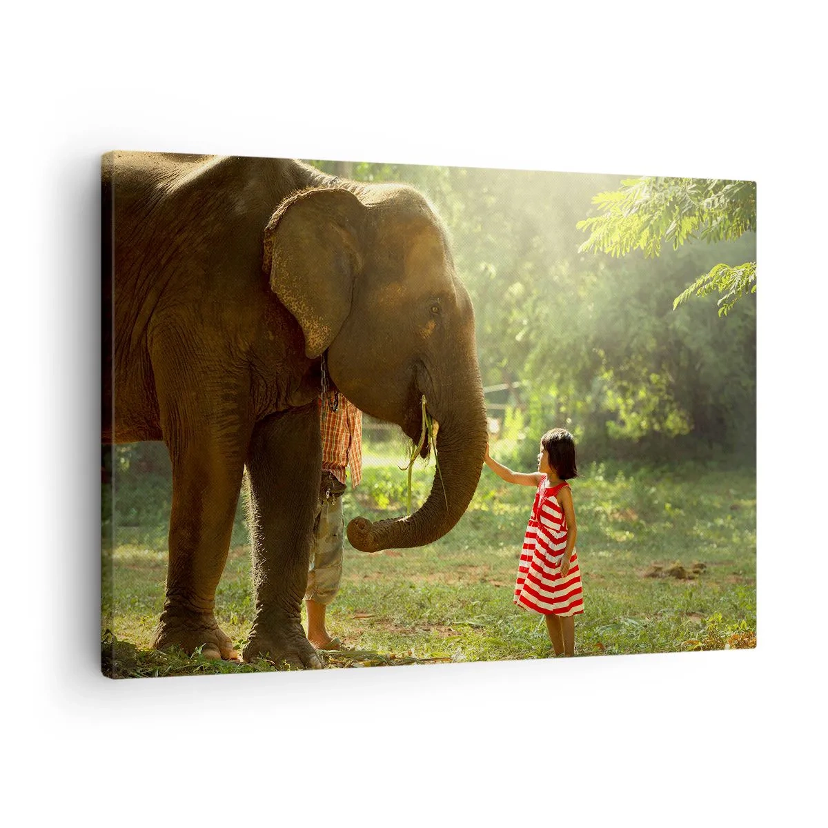 Canvas picture - A girl in a red dress touching an elephant in the forest. - 70x50cm - Power of Friendship - Modern wall decoration for the living room and bedroom ARTTOR