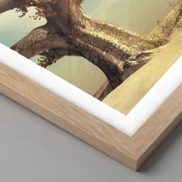 Light Oak