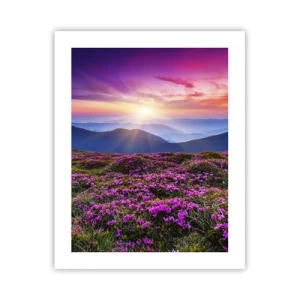 Poster - Smells Strongly of Herbs - 40x50 cm