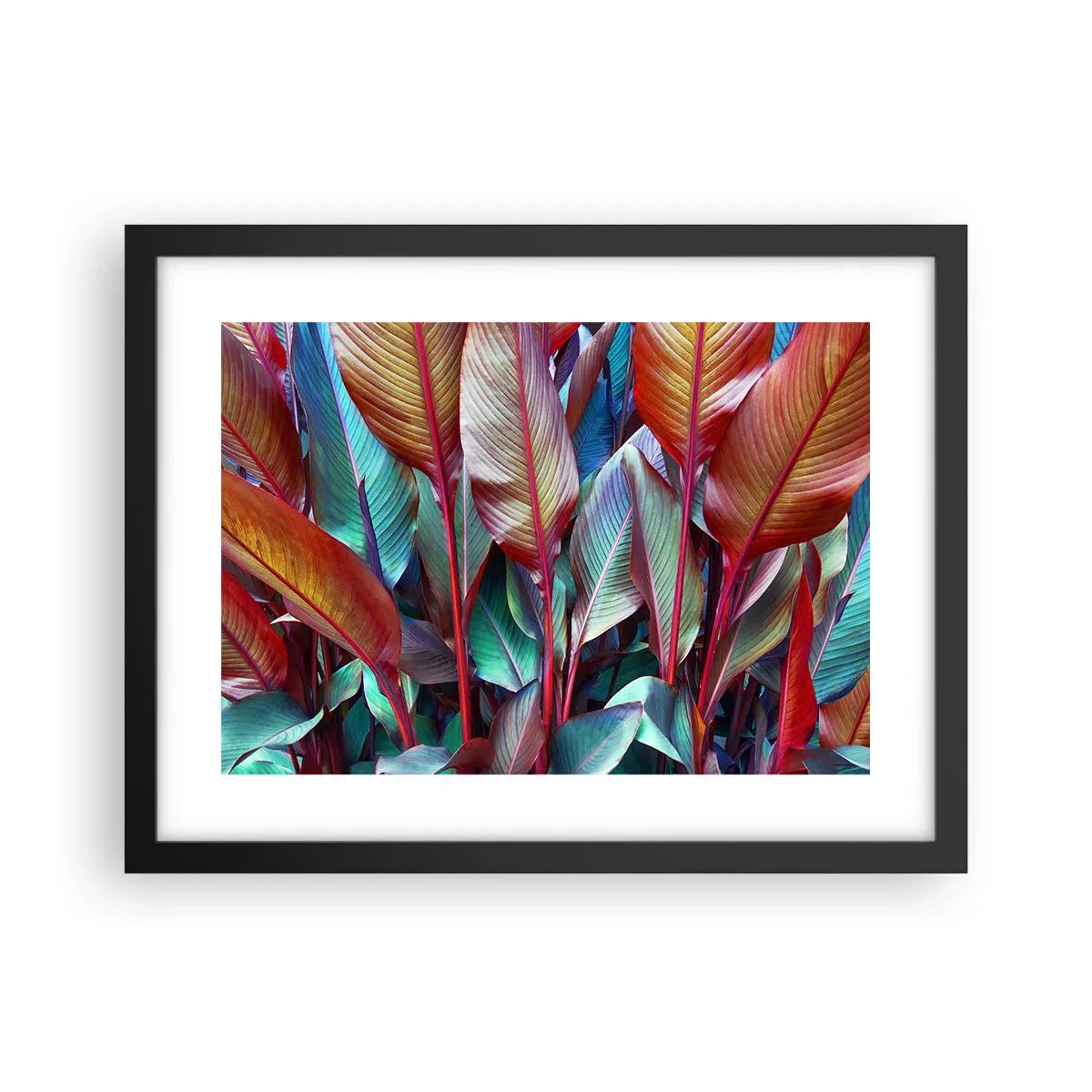 Poster in black frame - Colourful Thicket - 40x30 cm