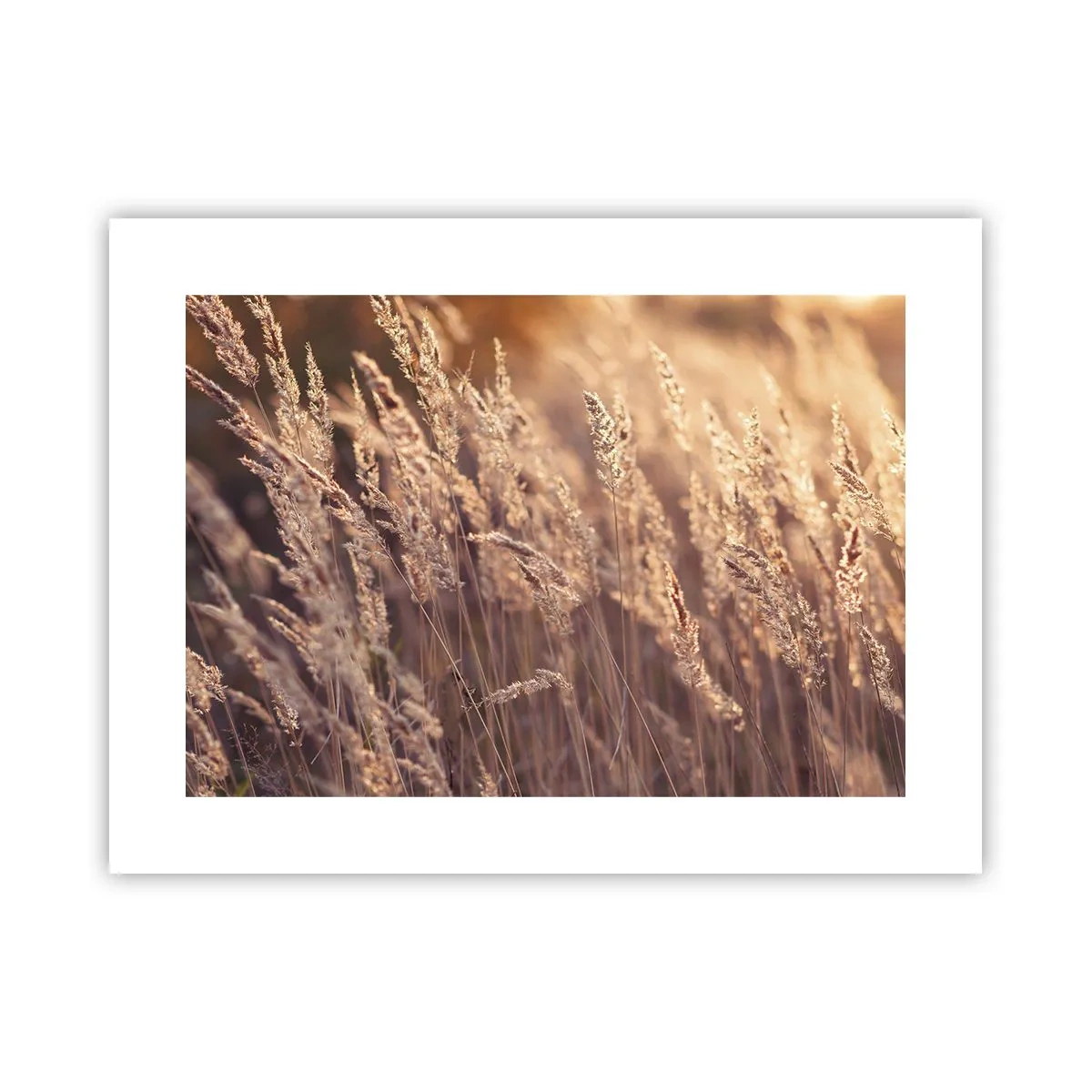 Poster - Ready to Welcome Autumn - 40x30 cm