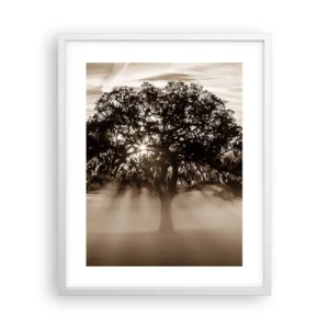 Poster in white frmae - Tree of Good Knowledge - 40x50 cm