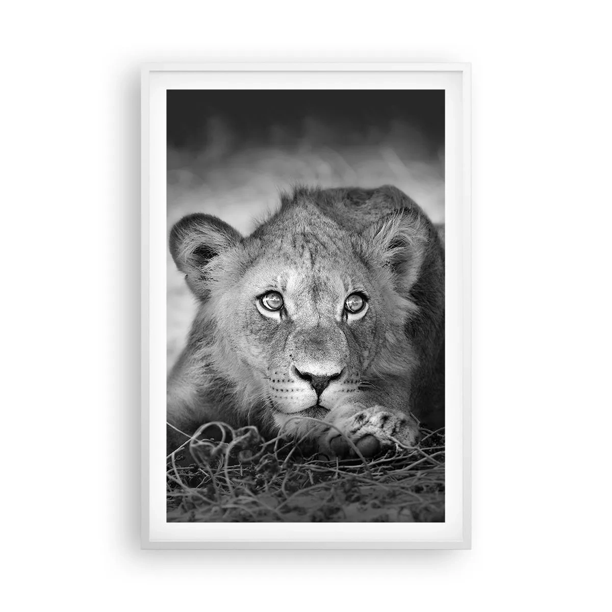 Poster in white frmae - Royal Puppy - 61x91 cm