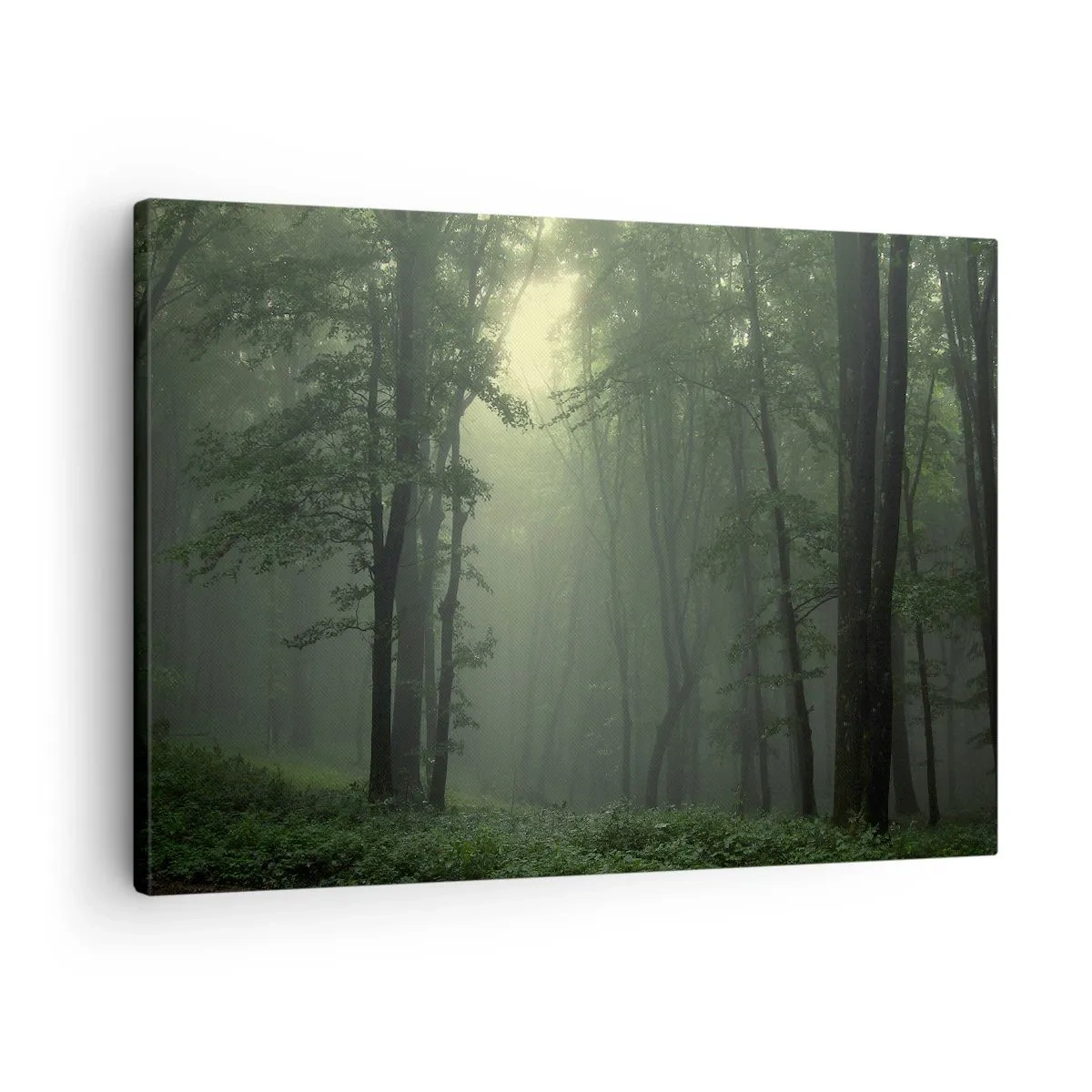 Canvas picture - A green forest in the morning shrouded in a delicate fog - 70x50cm - Before It Wakes Up - Modern wall decoration for the living room and bedroom ARTTOR