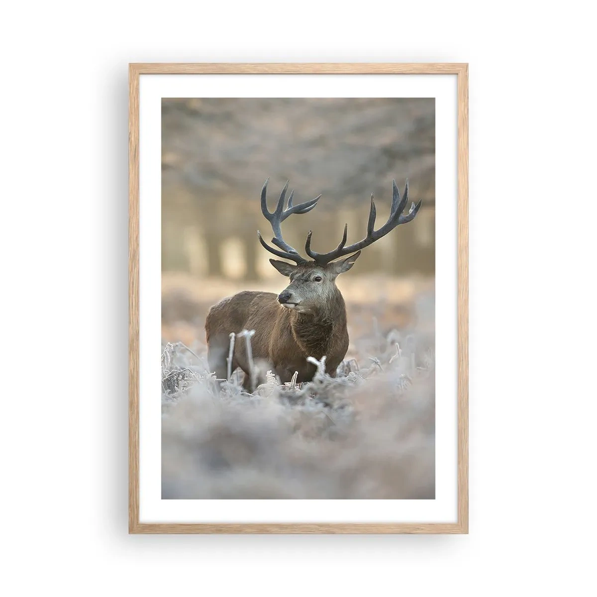 Poster in light oak frame - Chilly Morning - 50x70 cm