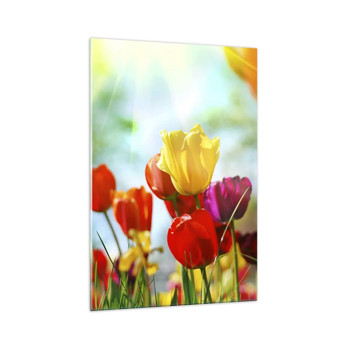 Glass picture - All Colours of the Sun - 70x100 cm