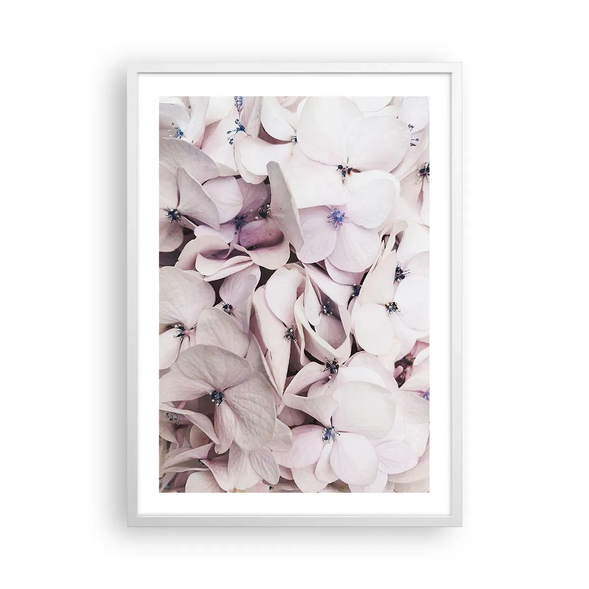 Poster in white frmae - In the Flood of Flowers - 50x70 cm