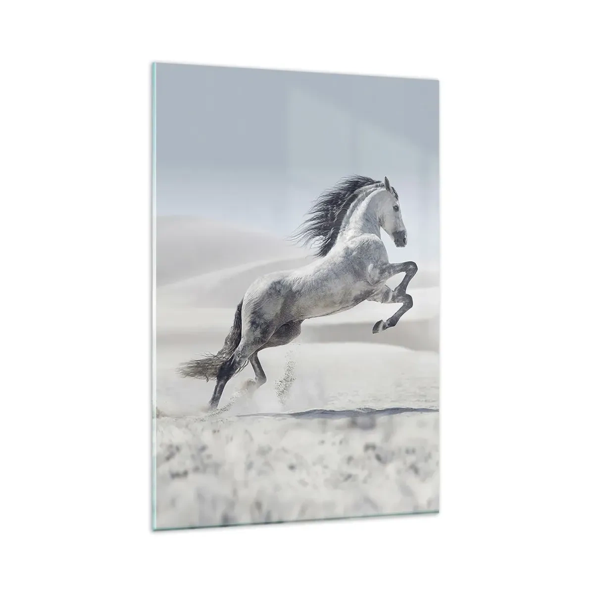 Glass picture - Arabic Prince - 80x120 cm