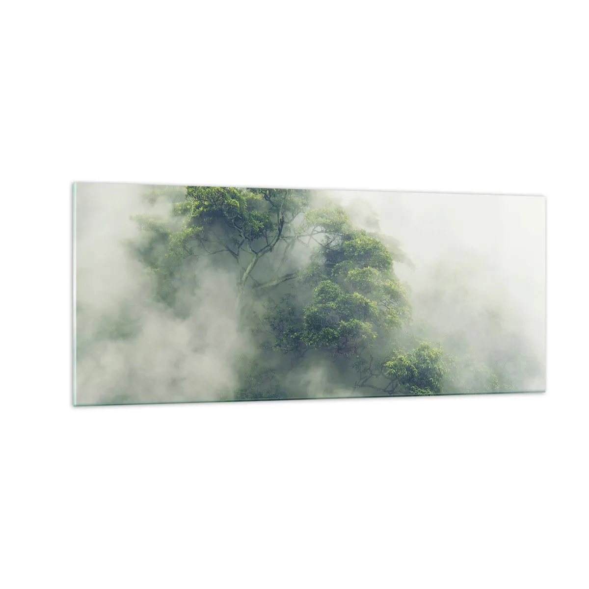 Glass picture - Wrapped In Fog - 100x40 cm