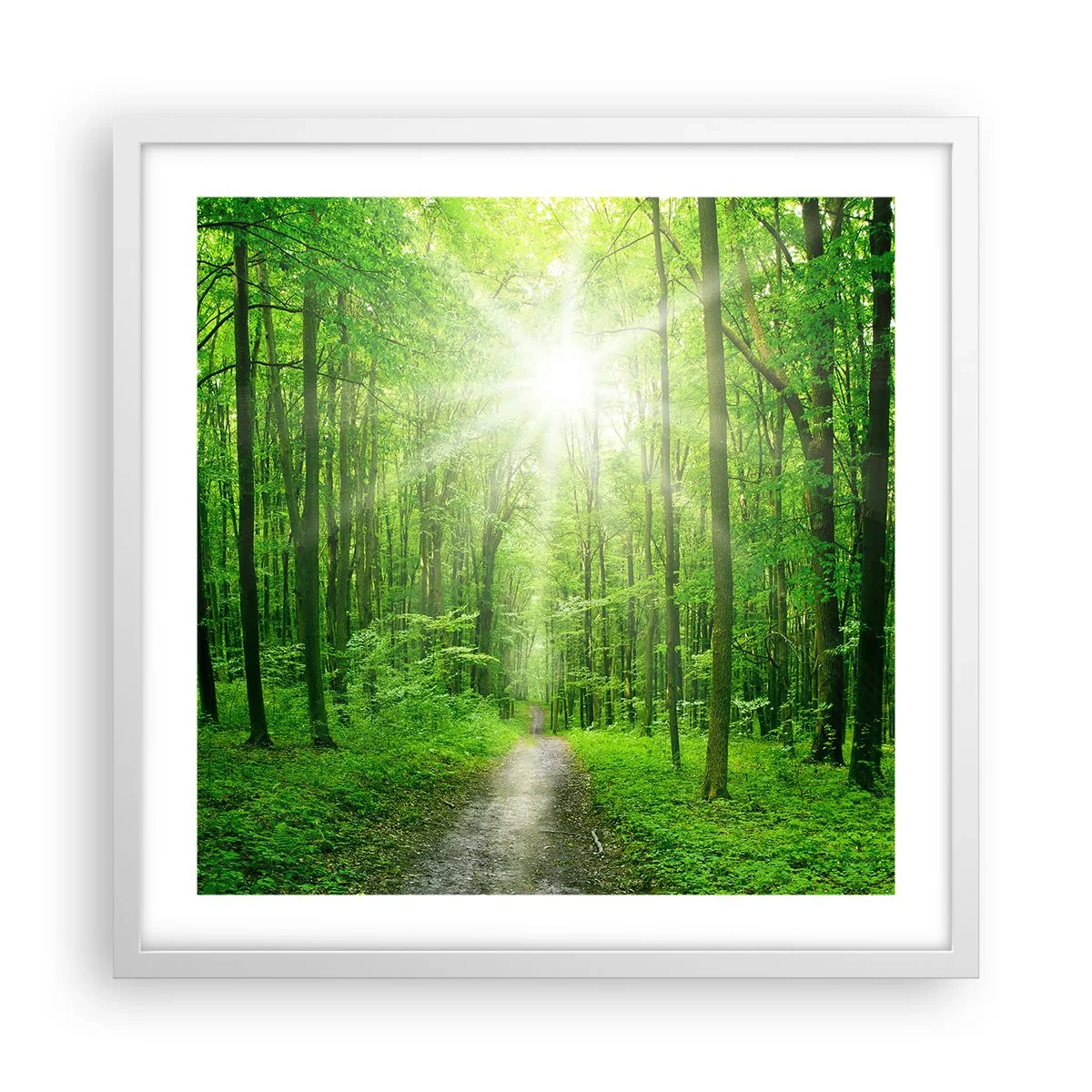 Poster in white frmae - Green Cathedral - 50x50 cm