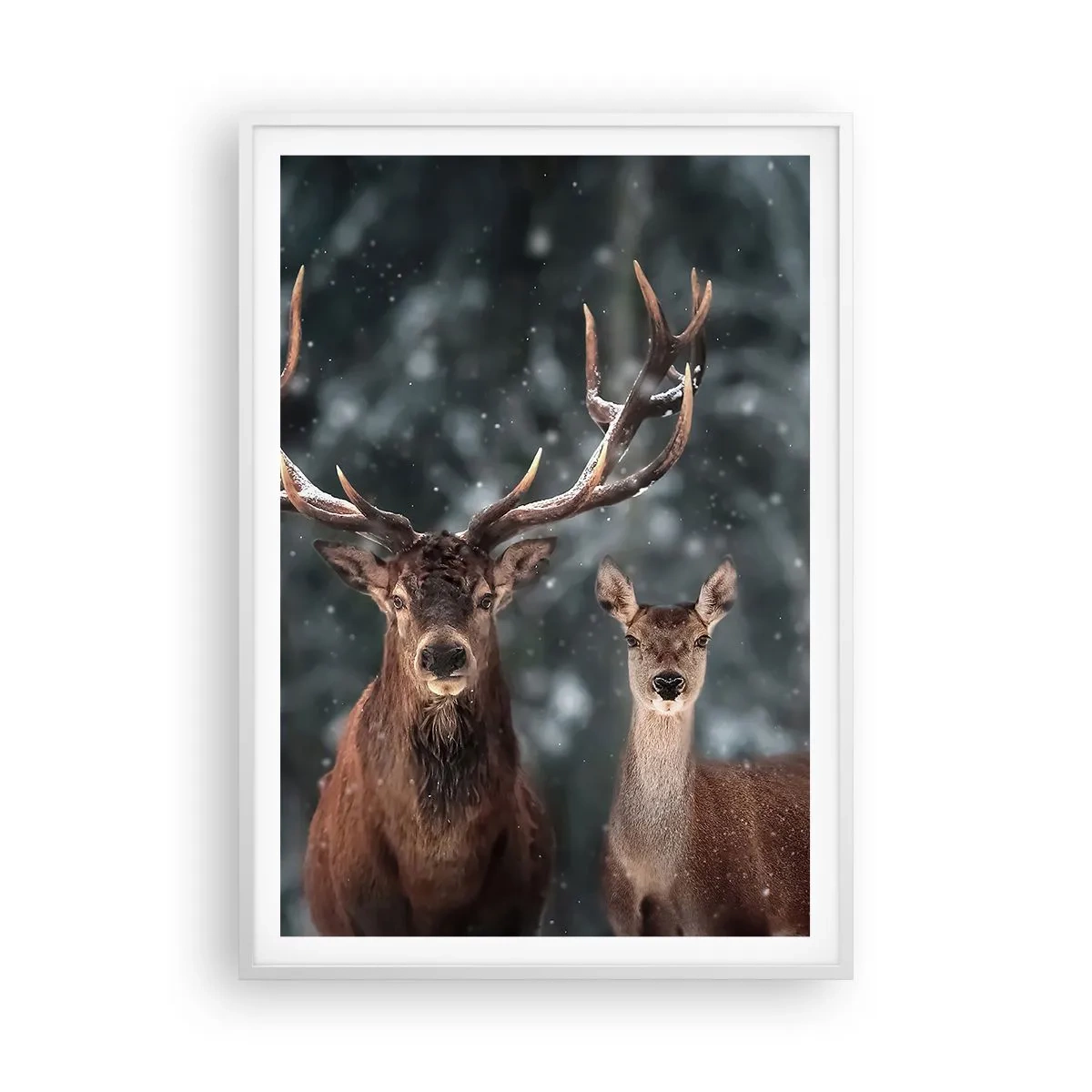 Poster in white frmae - Master of the Forest with His Wife - 70x100 cm