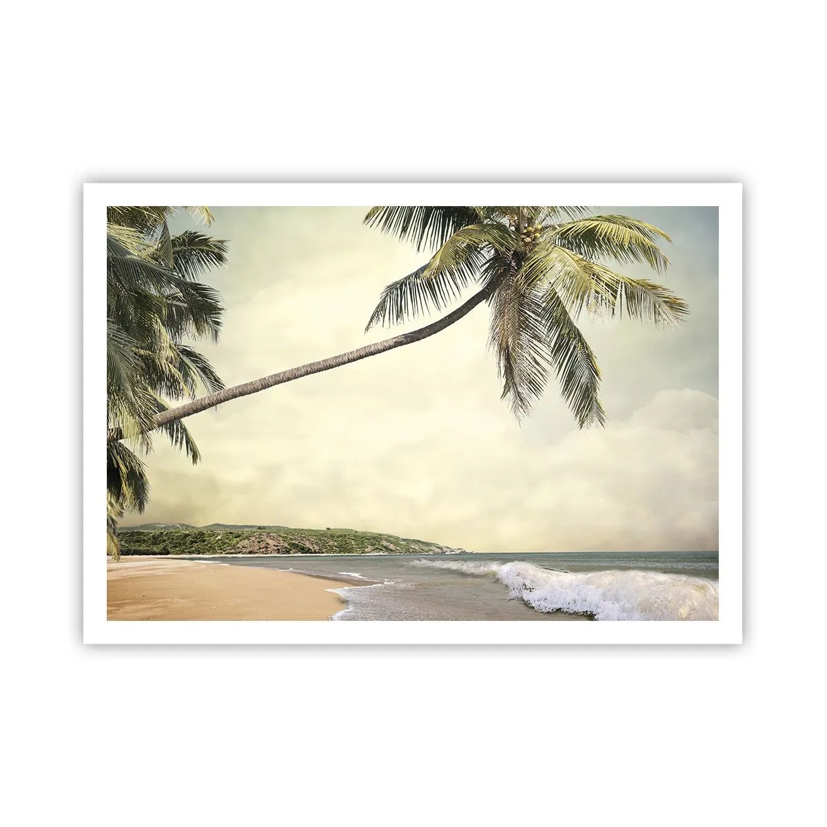 Poster - Tropical Dream - 100x70 cm