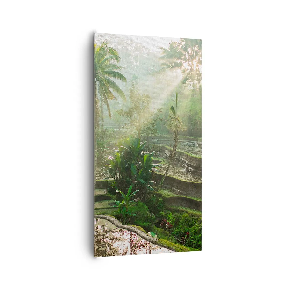 Canvas picture - Maturing in the Sun - 65x120 cm