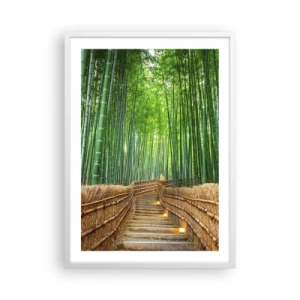 Poster in white frmae - Essence of Asian Nature - 50x70 cm
