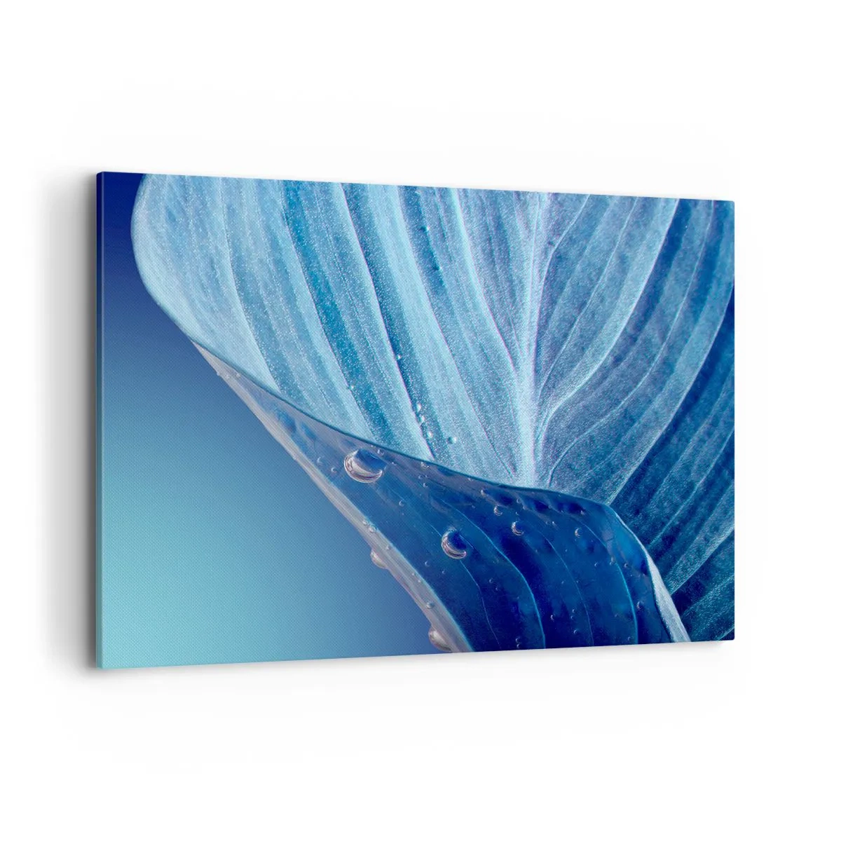 Canvas picture - Hidden Drops of Blue - 100x70 cm