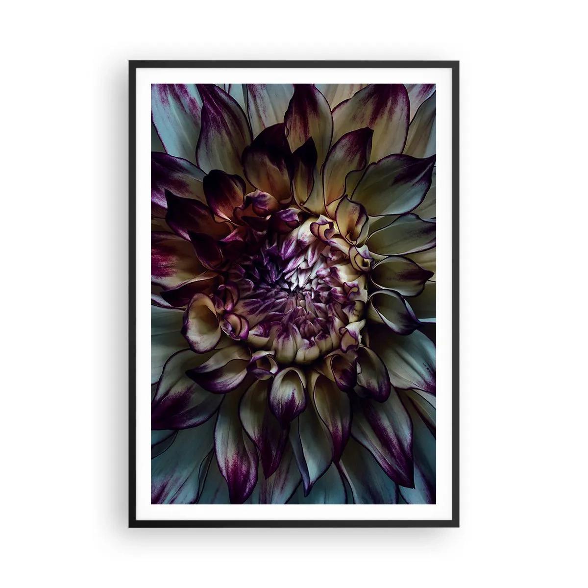 Poster in black frame - The Blossoming of Youth - 70x100 cm