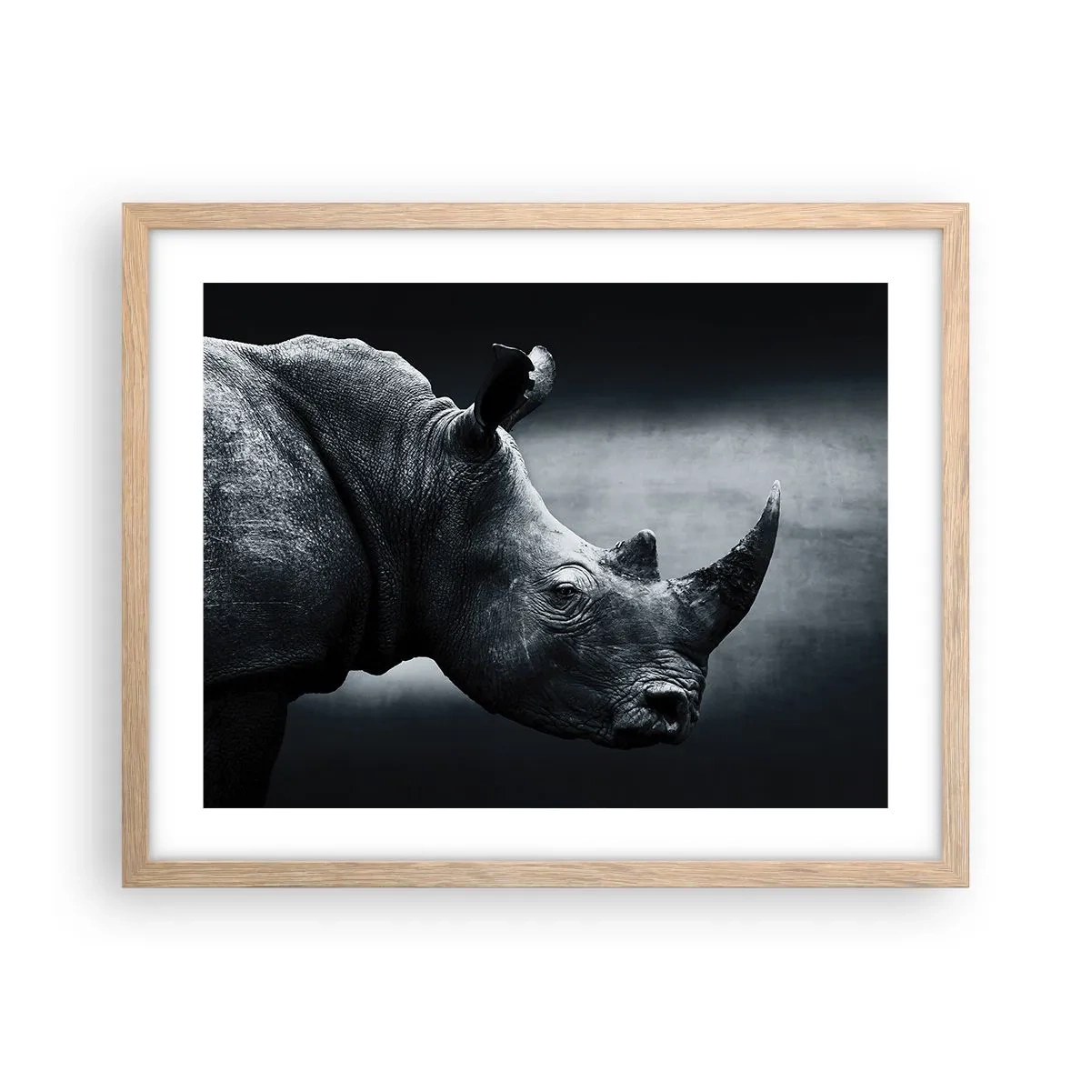 Poster in light oak frame - Right Profile - 50x40 cm