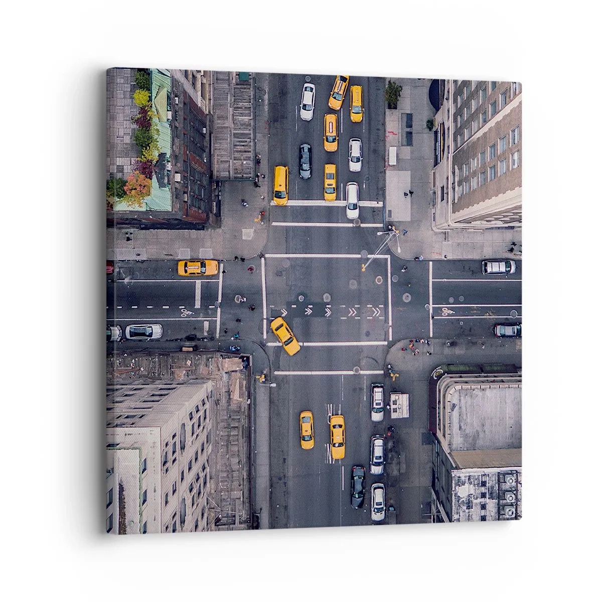 Canvas picture - Simple Choice - 30x30 cm