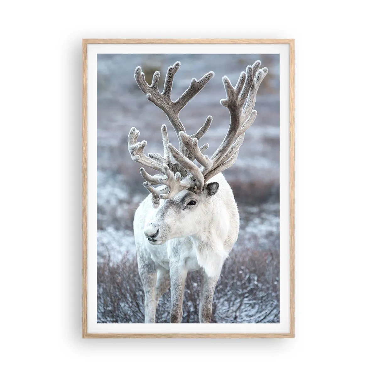 Poster in light oak frame - Portrait in the Sun - 70x100 cm