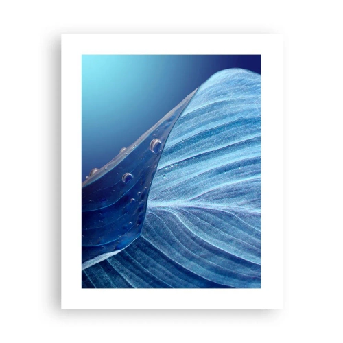 Poster - Hidden Drops of Blue - 40x50 cm
