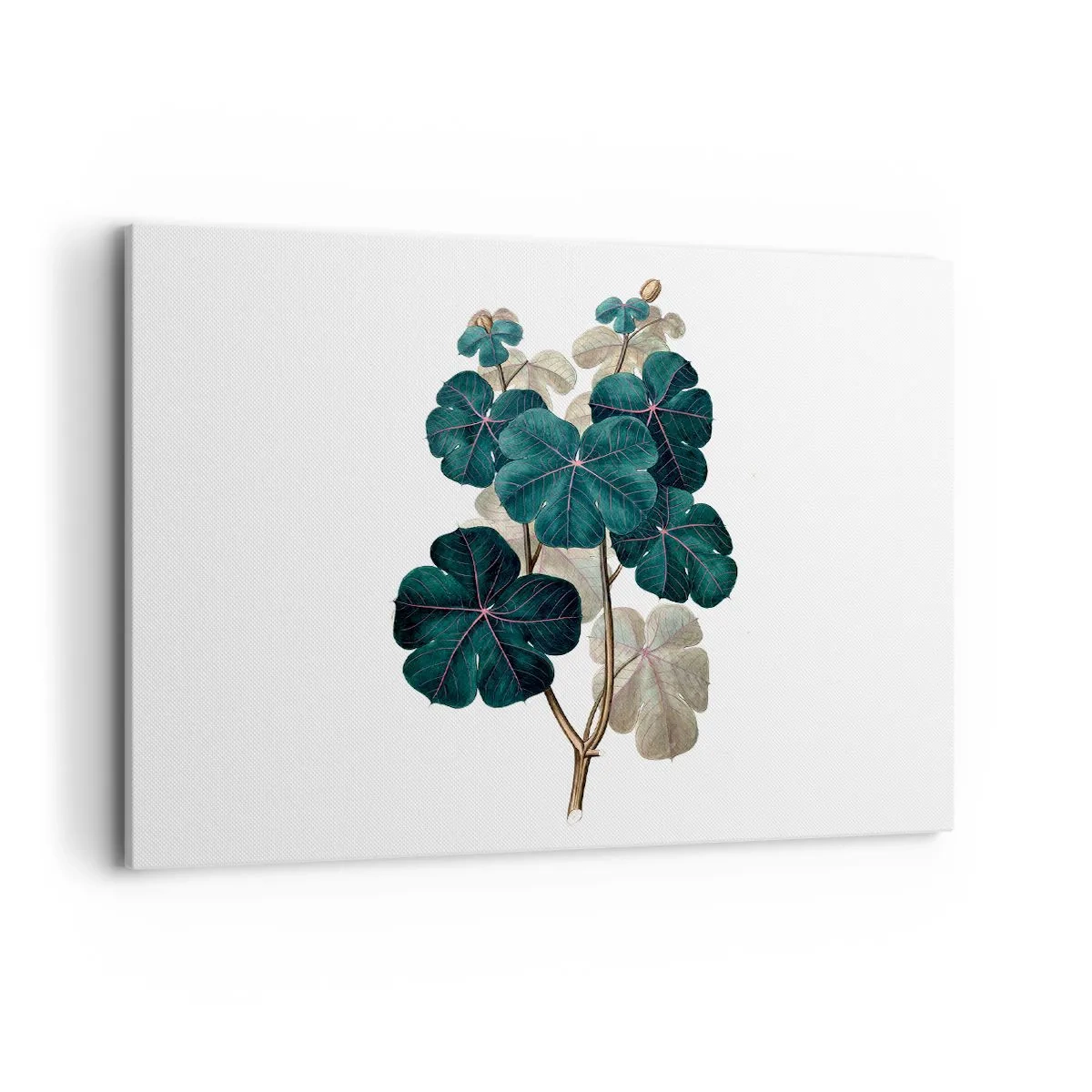 Canvas picture - From the Old Herbarium - 100x70 cm