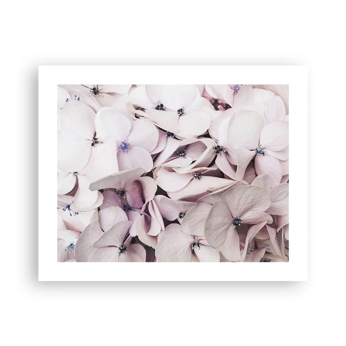 Poster - In the Flood of Flowers - 50x40 cm