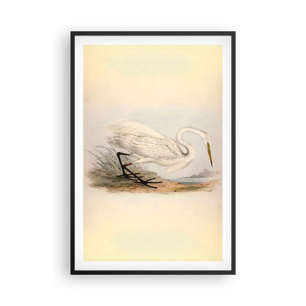 Poster in black frame - Lady on the Marsh - 61x91 cm