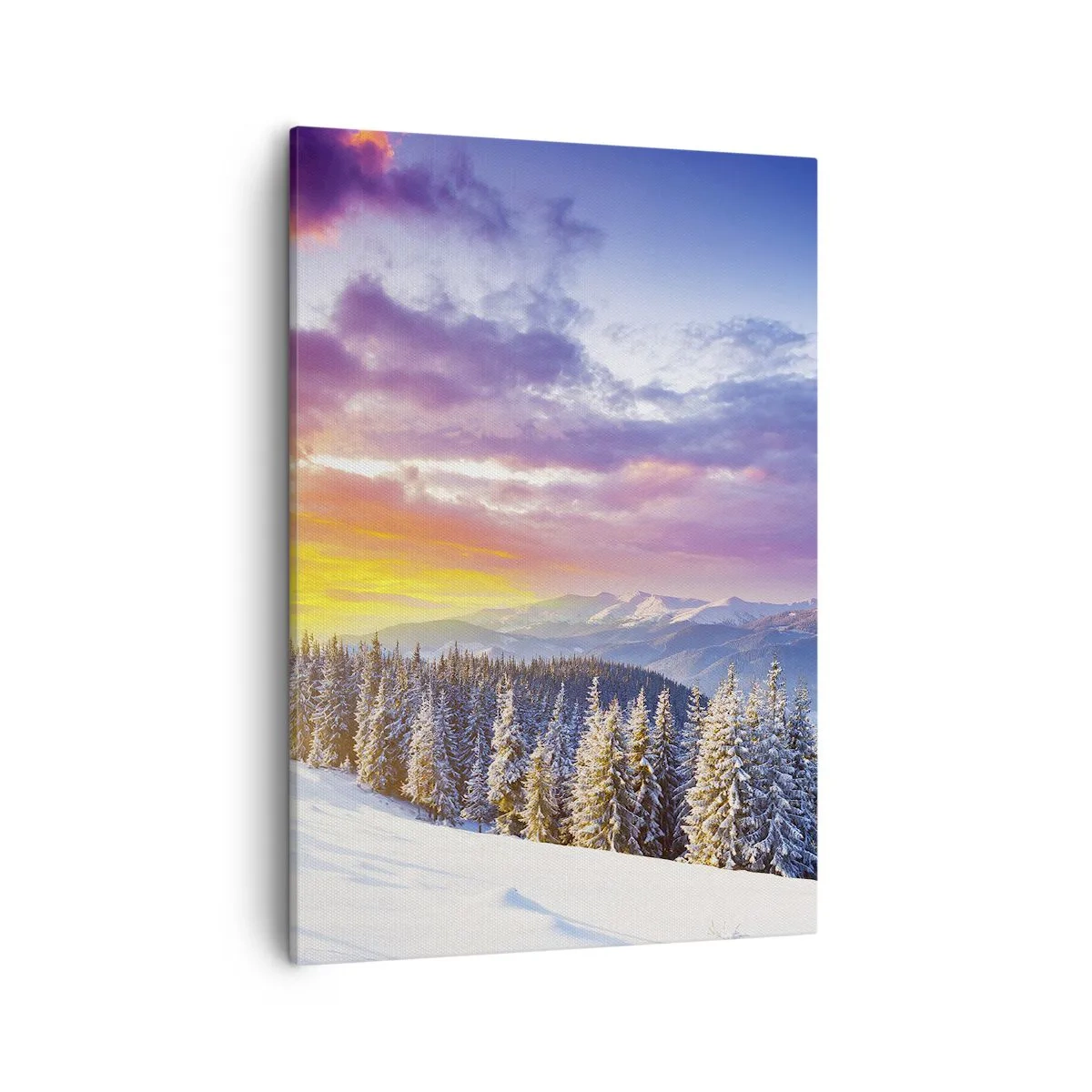 Canvas picture - In Plain Daylight - 50x70 cm