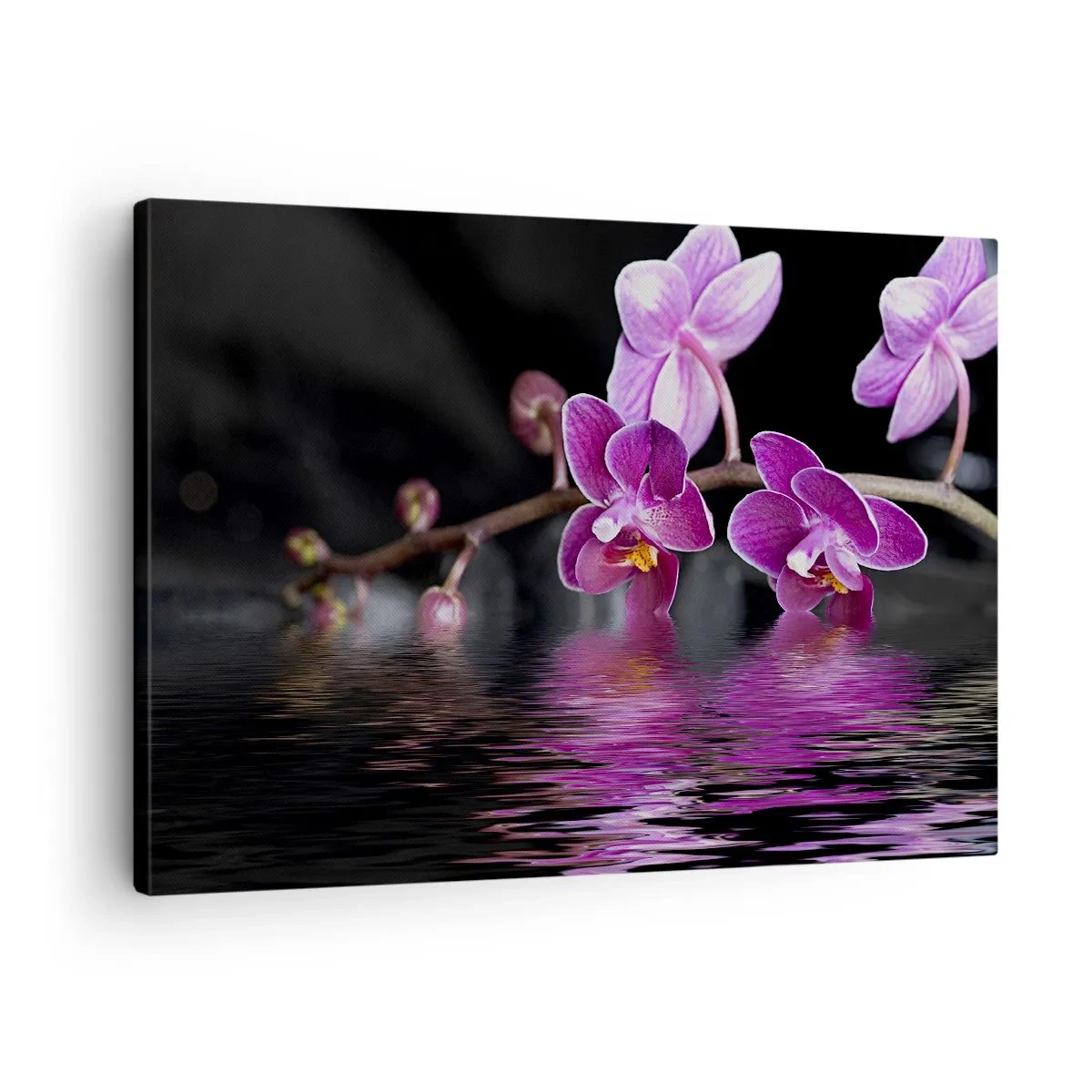 Canvas picture - Purple orchids over calm water against a black background - 70x50cm - Lilac Reflection of Beauty - Modern wall decoration for the living room and bedroom ARTTOR