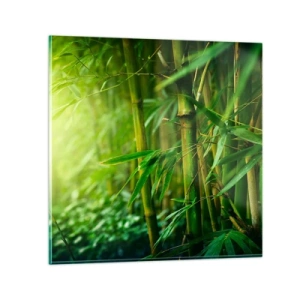 Glass picture - Getting to Know the Green - 60x60 cm