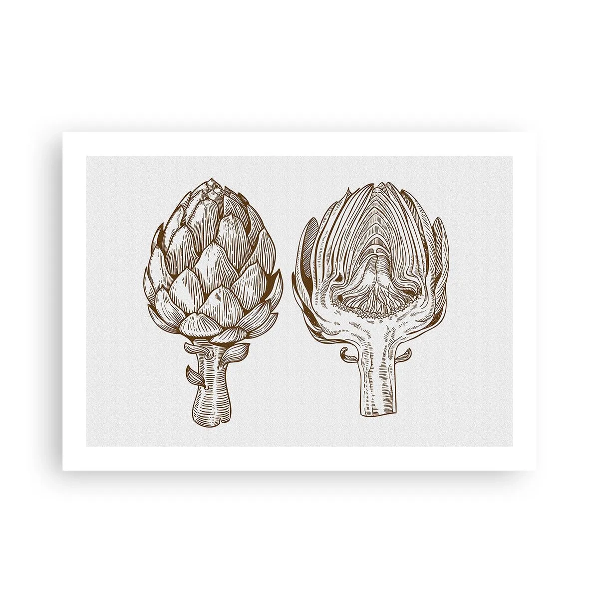 Poster - Anatomy Lesson - 70x50 cm