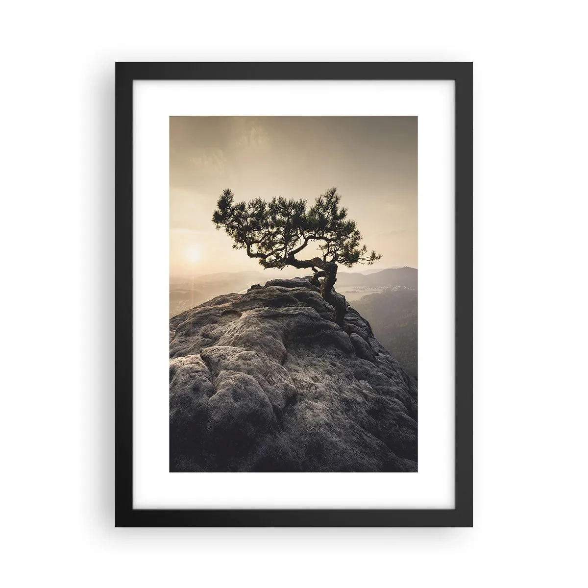 Poster in black frame - Life Always Wins - 30x40 cm